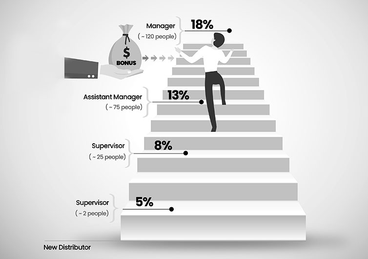 Stair step plan in multi-level marketing business and software