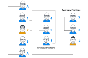 Linear plan benefits in the multi-level business