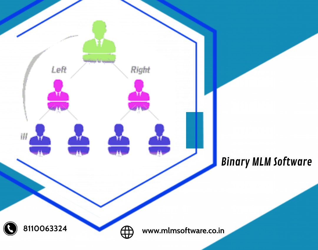 Binary MLM Software