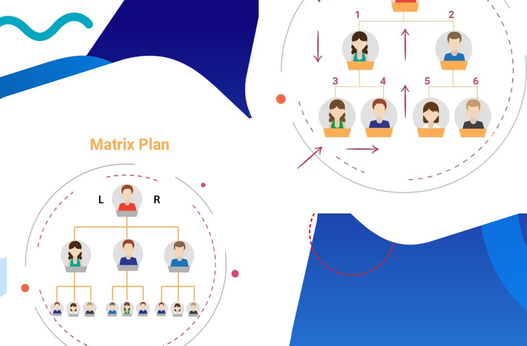 Matrix plan vs board plan